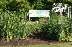 Community gardens make urban space useful