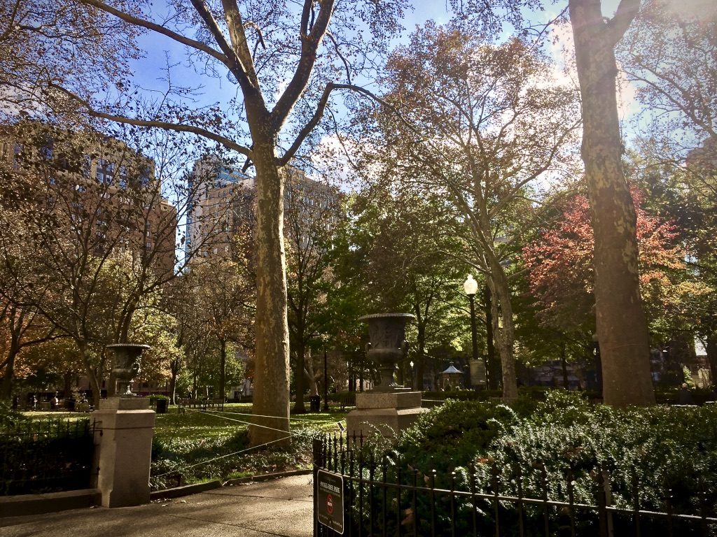 rittenhouse square, rittenhouse, philadelphia, philly, park